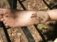 Feet - Daria D - 2012-06-13 Gipsy style girl