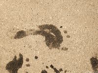 Feet - Dina B - 2014-10-24 Brunette in a business dress