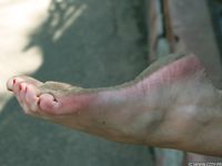 Feet - Ekaterina - 2012-05-21 Blonde in blue dress