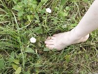 Feet - Elena - 2005-06-01 Simple barefoot pleasures of a city girl