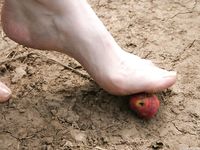 Feet - Elena - 2005-06-01 Simple barefoot pleasures of a city girl