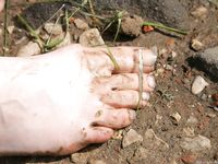 Feet - Elena - 2005-06-01 Simple barefoot pleasures of a city girl