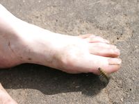 Feet - Elena - 2005-06-01 Simple barefoot pleasures of a city girl