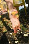 Feet - Galina - 2014-05-12 Cold autumn weather