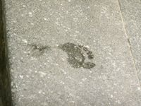 Feet - Gulnara A - 2010-11-01 Dirty feet in public