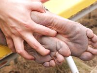 Feet - Gulnara A - 2010-11-01 Dirty feet in public