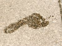 Feet - Inna - 2010-07-27 Business lady