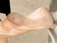 Feet - Inna A - 2011-05-27 Uncomfortable shoes