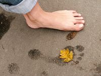 Feet - Ira B + Nata A - 2009-02-26 Autumn barefoot travel