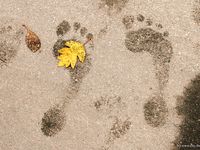 Feet - Ira B + Nata A - 2009-02-26 Autumn barefoot travel