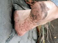 Feet - Ira B + Nata A - 2009-02-26 Autumn barefoot travel