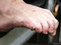 Feet - Ira B + Nata A - 2009-02-26 Autumn barefoot travel