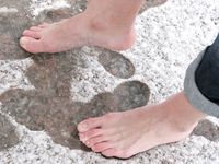 Feet - Ira B - 2008-02-26 A romantic winter walk