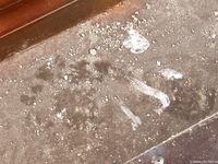 Feet - Ira C - 2011-01-27 Rest in a park