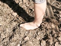 Feet - Iren - 2007-05-26 A Busy barefoot day