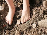 Feet - Iren - 2007-05-26 A Busy barefoot day