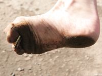 Feet - Iren - 2007-05-26 A Busy barefoot day