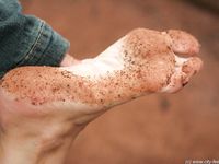 Feet - Irina - 2005-08-23 Barefoot walk under the rain