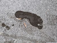 Feet - Irina B - 2016-05-04 From home without shoes