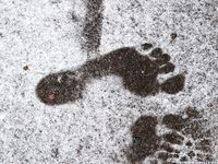 Feet - Irina B - 2016-05-04 From home without shoes