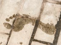 Feet - Janna - 2010-11-13 Autumn barefoot stroll