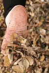 Feet - Janna - 2010-11-13 Autumn barefoot stroll