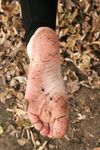 Feet - Janna - 2010-11-13 Autumn barefoot stroll