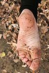 Feet - Janna - 2010-11-13 Autumn barefoot stroll