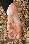 Feet - Janna - 2010-11-13 Autumn barefoot stroll
