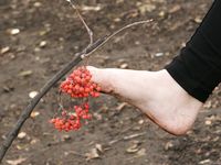 Feet - Janna - 2010-11-13 Autumn barefoot stroll