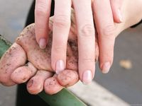 Feet - Janna - 2010-11-13 Autumn barefoot stroll