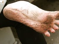 Feet - Janna - 2010-11-13 Autumn barefoot stroll