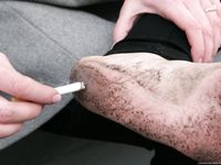 Feet - Janna - 2010-11-13 Autumn barefoot stroll