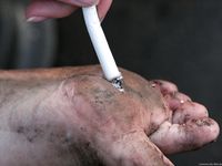 Feet - Janna - 2010-11-13 Autumn barefoot stroll