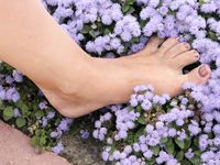 Feet - Jenya + Lena D- 2008-10-05 Barefoot trips to Russian towns. Tula