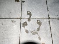 Feet - Jenya + Marisha - 2007-10-02 Barefoot Travel. Minsk (feat. Zoya, Lana & Lera)