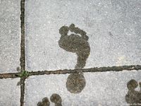 Feet - Jenya + Marisha - 2007-10-02 Barefoot Travel. Minsk (feat. Zoya, Lana & Lera)