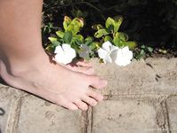 Feet - Julia A + Krista - 2006-01-31 Egyptian barefoot adventures