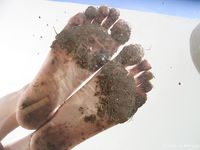 Feet - Julia A + Krista - 2006-01-31 Egyptian barefoot adventures