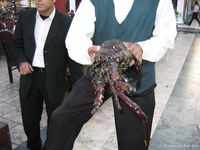 Feet - Julia A + Krista - 2006-01-31 Egyptian barefoot adventures