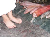 Feet - Julia A + Krista - 2006-01-31 Egyptian barefoot adventures