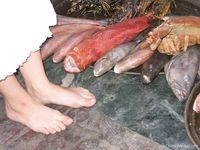 Feet - Julia A + Krista - 2006-01-31 Egyptian barefoot adventures