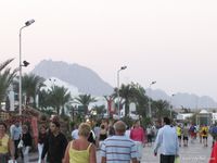 Feet - Julia A + Krista - 2006-01-31 Egyptian barefoot adventures