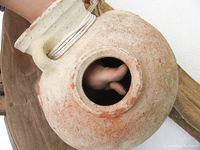 Feet - Julia A + Krista - 2006-01-31 Egyptian barefoot adventures