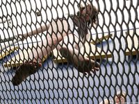 Feet - Julia C + Unknown brunette - 2012-01-08 Weekend shopping