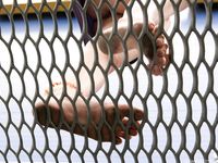 Feet - Julia C + Unknown brunette - 2012-01-08 Weekend shopping