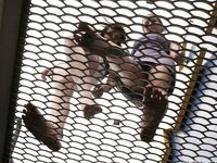 Feet - Julia C + Unknown brunette - 2012-01-08 Weekend shopping