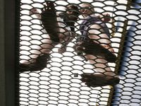 Feet - Julia C + Unknown brunette - 2012-01-08 Weekend shopping