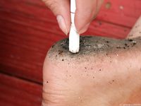 Feet - Julia C + Unknown brunette - 2012-01-08 Weekend shopping