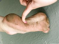 Feet - Julia D - 2011-08-04 Gloomy day